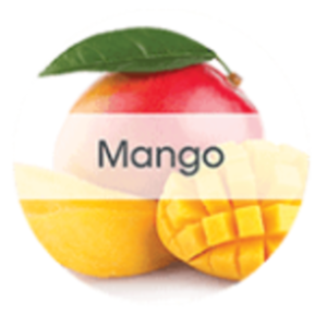 Fresh - Air Freshener, Mango