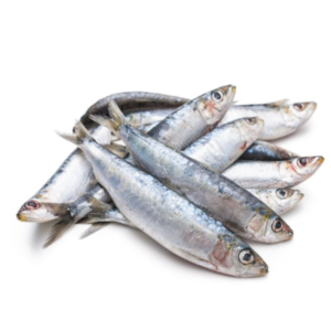 Frozen Sardines, Medium - 2 lbs