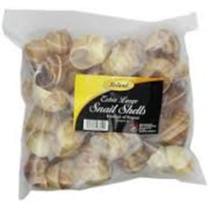 Eiffel Tower - Extra Large Snail Shells - 36 ct