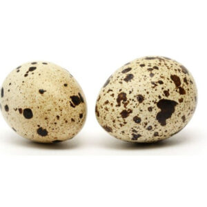 Frozen Quail Eggs for Sushi - 15 ct