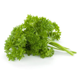 Curly Parsley - 6 ct