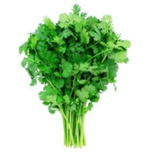 Cilantro - 6 ct