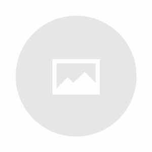 CHEFS QUALITY 10LB LASAGNA BRONZE 20 in